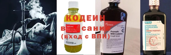 ГАЛЛЮЦИНОГЕННЫЕ ГРИБЫ Белоозёрский
