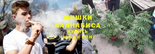ГАЛЛЮЦИНОГЕННЫЕ ГРИБЫ Белокуриха