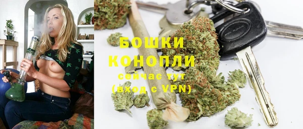 ГАЛЛЮЦИНОГЕННЫЕ ГРИБЫ Белокуриха