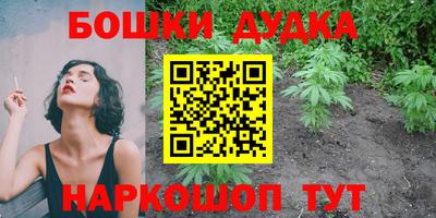 индика Берёзовский