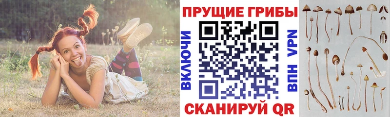 Галлюциногенные грибы Cubensis  Вятские Поляны 