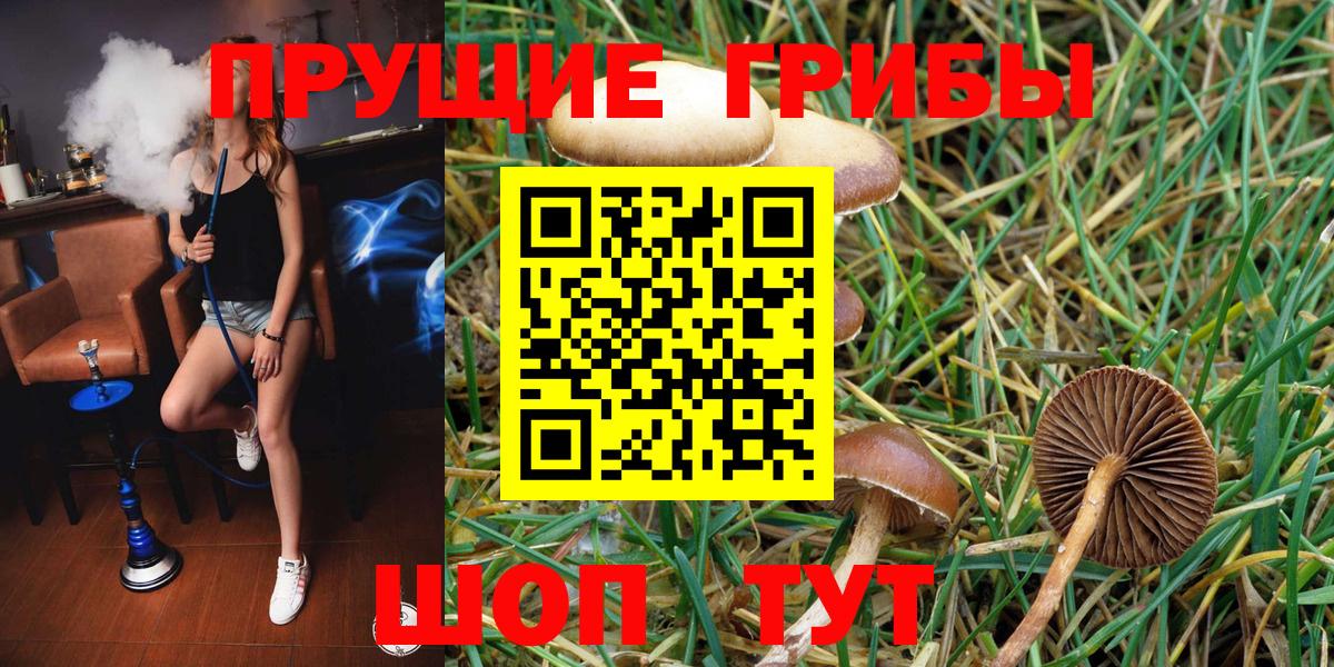 Галлюциногенные грибы Cubensis Вятские Поляны