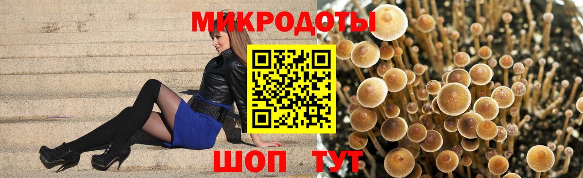Вятские Поляны  цена наркотик  Вход с VPN  Галлюциногенные грибы Psilocybe 